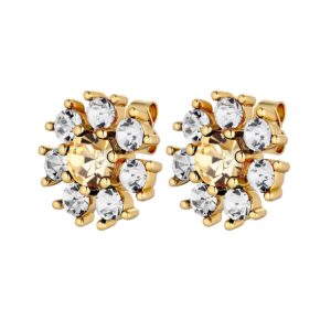 Aude Sg Golden | Crystal Örhängen | Guld