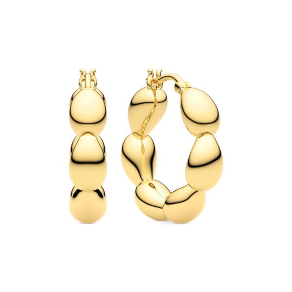Goccia Cerchietto Piccolo Earrings |  |