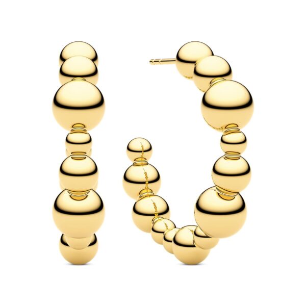 Bormio Circolo Grande Earrings |  |