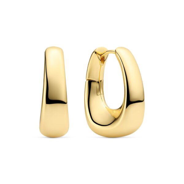 Borsa Pianura Grande Earrings |  |