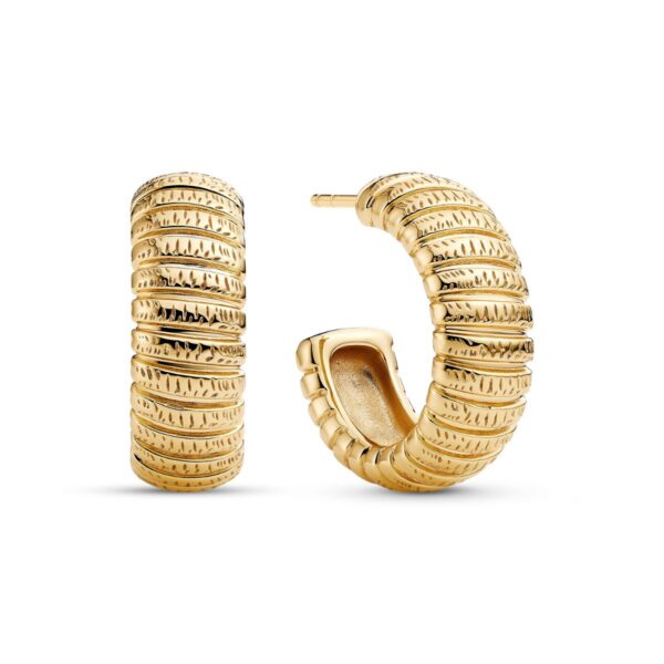 Riva Earrings | Guld |