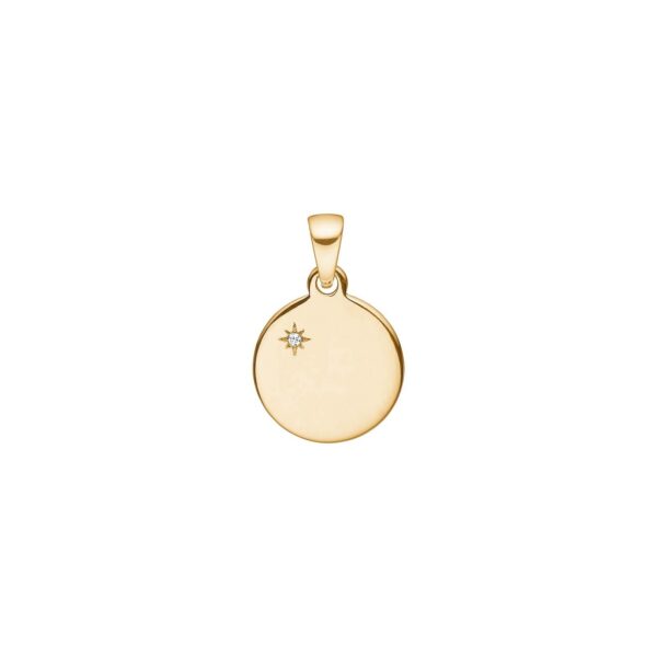 Guldpläterad silverhängeplatta med Zirkonia 12mm