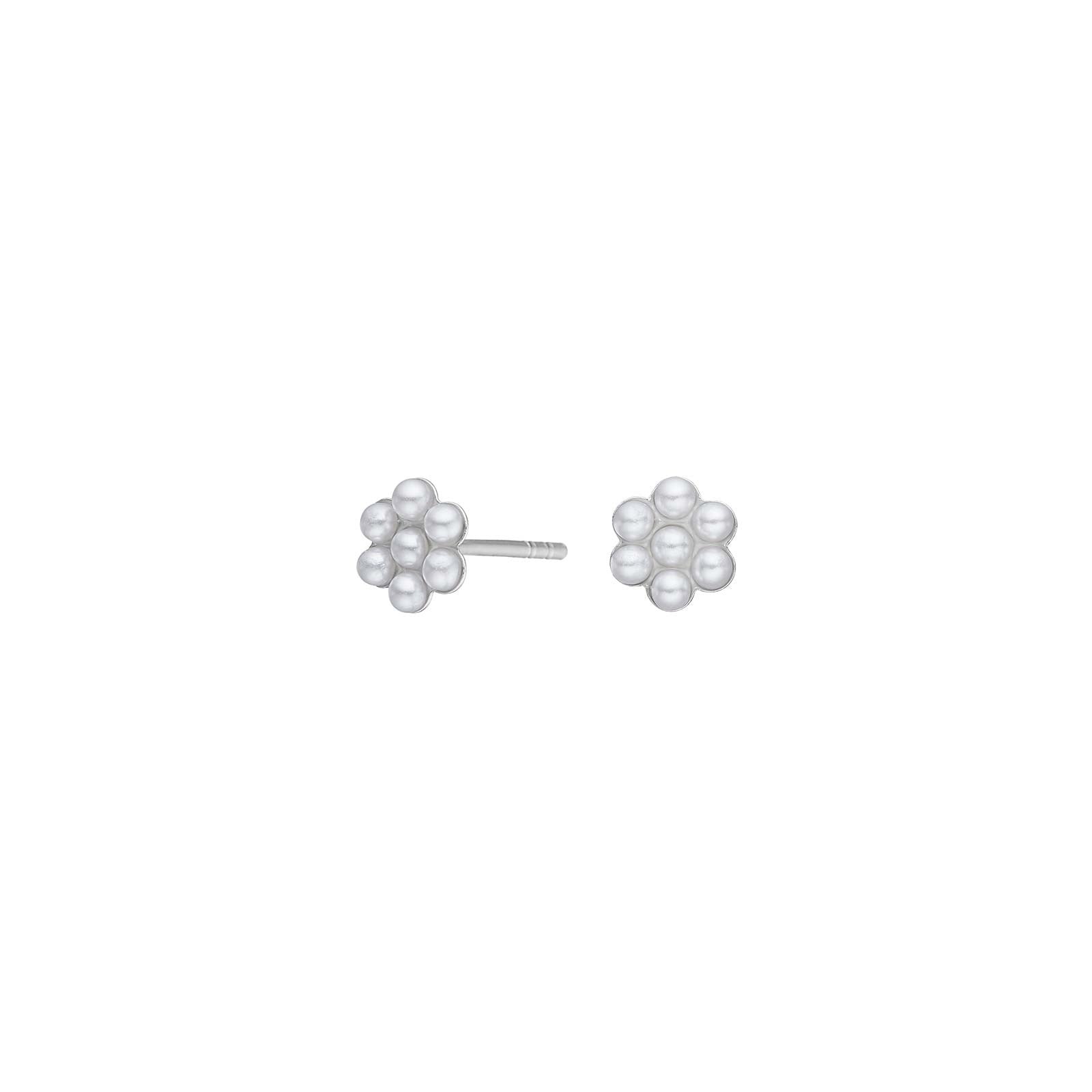 30241030900_10 Rhodiumpläterade silverörhängen med pärlor - Bild 1