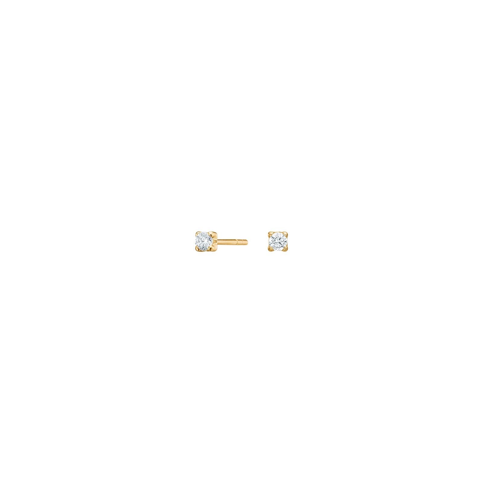 30310390300 8 karat guldörhängen med Zirkonia 2mm - Bild 1