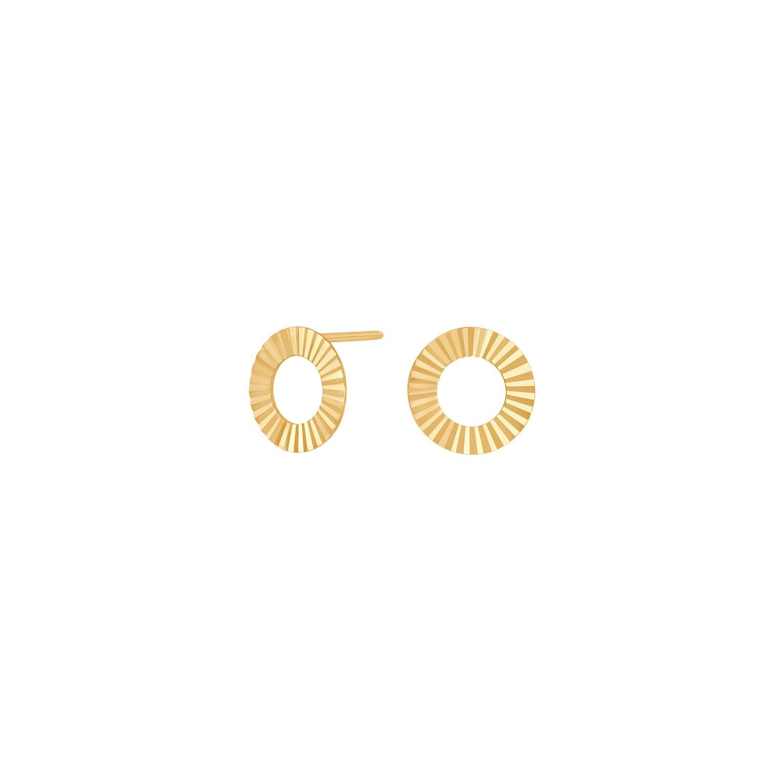 30832390300_10 Cirkelörhängen i 8 karats guld - Bild 1